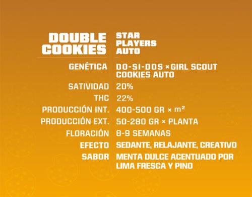 double-cookies-auto-description SensorySeeds Description Graines Double Cookies Autofloraison