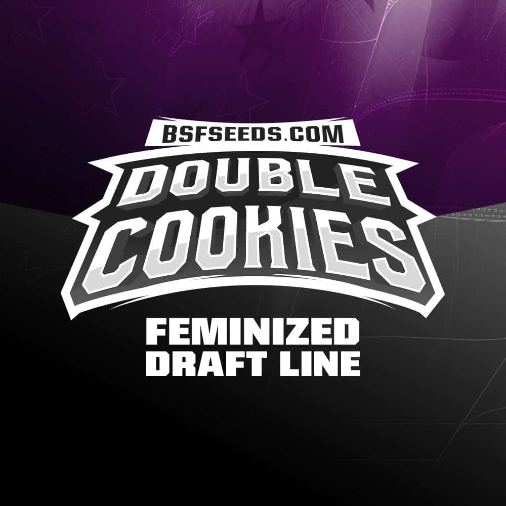 double-cookies-graine-de-cannabis-feminisees-en-ligne double-cookies-graine-de-cannabis-feminisees-en-ligne