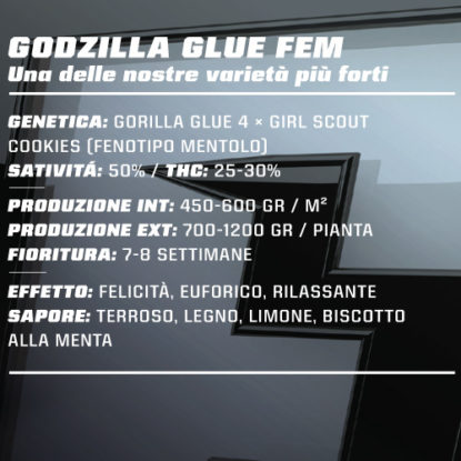 godzilla-glue-feminized-canapa-info-1-415x415 SensorySeeds Description Graines Godzilla Glue Autofloraison
