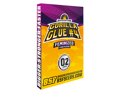 gorilla-glue-graines-de-cannabis-france-weed-seed-shop gorilla-glue-graines-de-cannabis-france-weed-seed-shop