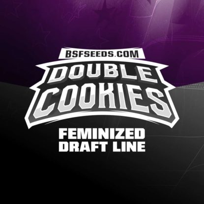 graines-de-cannabis-féminisée-double-cookies Graines de cannabis féminisée du Double Cookies
