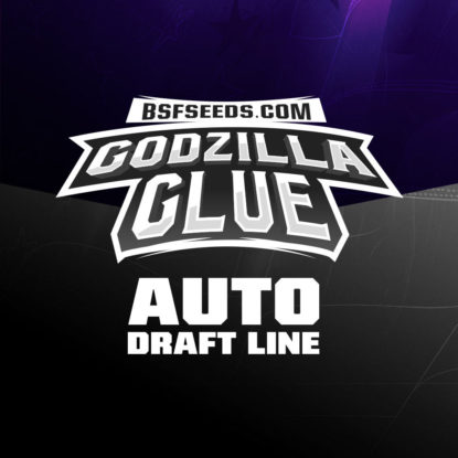 label-godzilla-glue-graine-autofloraison Label du Godzilla Glue du graine autofloraison