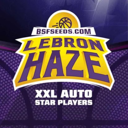 label-graine-autofloraison-lebron-haze Label du graine autofloraison du Lebron Haze