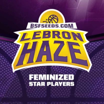 label-graines-de-cannabis-féminisée-lebron-haze Label du graines de cannabis féminisée Lebron Haze