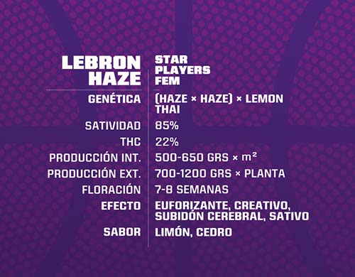 lebron-haze-fem-description SensorySeeds Description Graines Lebron Haze Féminisées