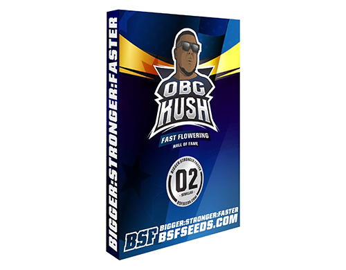 ogb-kush-graines-de-cannabis-weed-seed-shop-france ogb-kush-graines-de-cannabis-weed-seed-shop-france