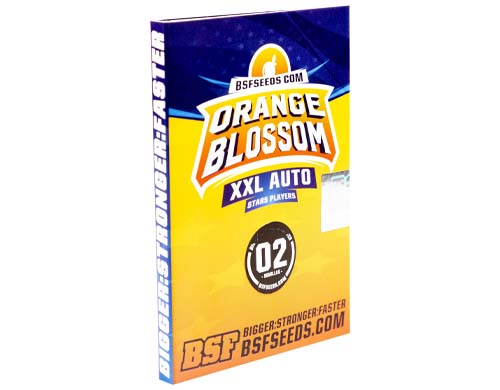 orange-blossom-auto-emballage SensorySeeds Emballage Graines Orange Blossom Autofloraison