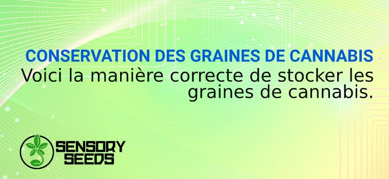 Conservation des graines de cannabis