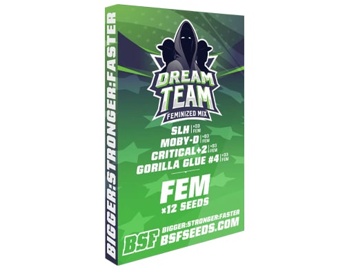 Kit-dream-team-feminized-Mix-weed-seed-shop Kit Dream team Feminized Mix du weed seed shop