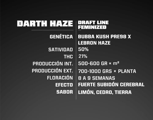 darth-haze-graines-de-cannabis-féminisée-description Description de graines de cannabis fèminisée Darth Haze