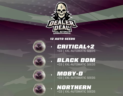 description-kit-weed-seed-shop-dealer-deal-xxl-automix Description du kit Dealer Deal XXL du weed seed shop