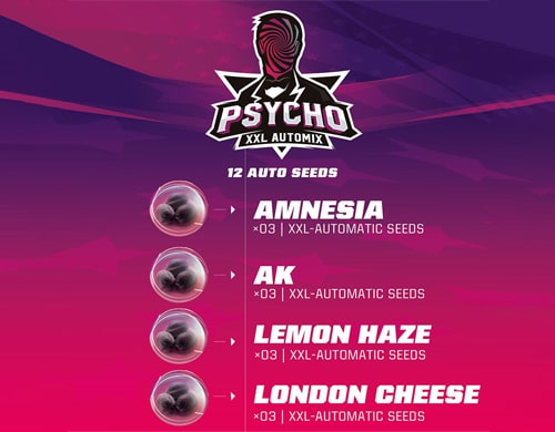 description-kit-weed-seed-shop-psycho-xxl-automix Description du kit Psycho XXL Automix du weed seed shop