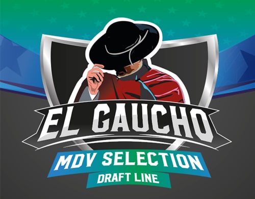 graines-de-cannabis-el-gaucho El Gaucho autofloraison