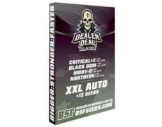 Kit Dealer Deal XXL Automix des meilleurs graines de cannabis