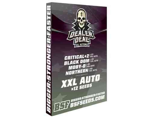 Kit Dealer Deal XXL Automix des meilleurs graines de cannabis