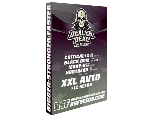 kit-dealer-deal-xxl-automix-meilleurs-graines-de-cannabis Kit Dealer Deal XXL Automix des meilleurs graines de cannabis