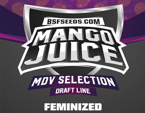 graines-feminisees-mango-juice Mango Juice Logo