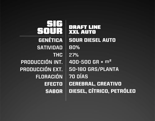 propriete-graines-de-cannabis Propriete Sig Sour XXL Autofloraison
