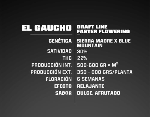 proprieté-el-gaucho-graines-de-cannabis-a-floraison-rapide Proprieté du graines de cannabis à floraison rapide El Gaucho