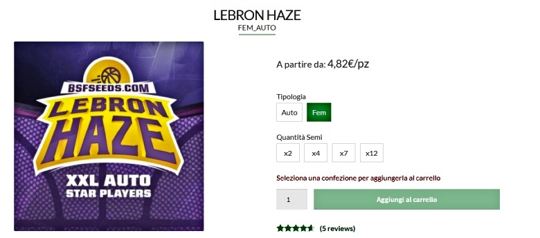 graines de chanvre lebron haze