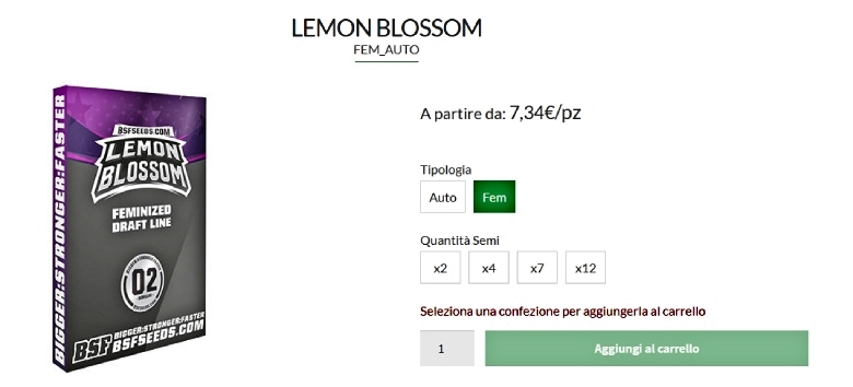 graines de marijuana lemon blossom