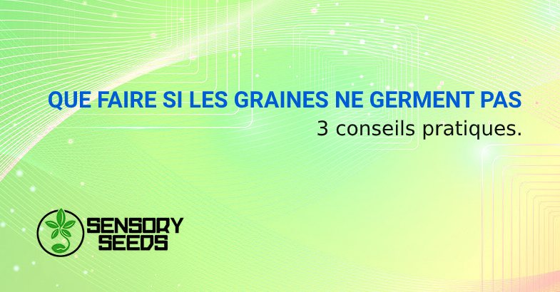 GRAINES NE GERMENT PAS