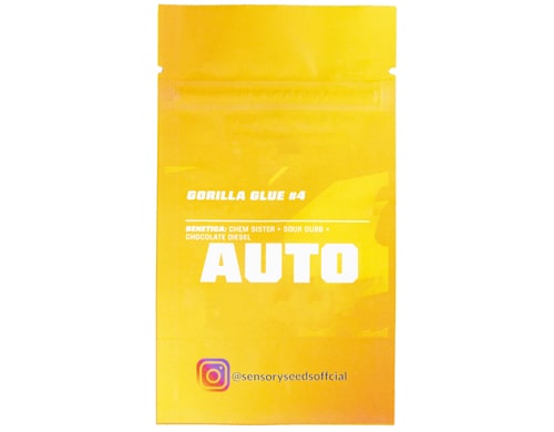 description-graine-autofloraison-en-vrac-gorilla-glue-4 Description de graine autifloraison en vrac de Gorilla Glue 4
