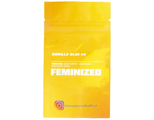 description-graines-de-cannabis-féminisée-en-vrac-gorilla-glue-4 Description de graines de cannabis féminisée en vrac du Gorilla Glue 4