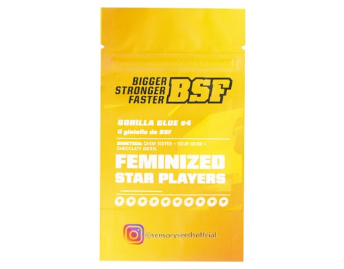 description-graines-de-cannabis-féminisée-en-vrac-gorilla-glue-4 Description de graines de cannabis féminisée en vrac du Gorilla Glue 4