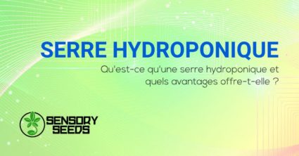 Qu'est-ce qu'une serre hydroponique