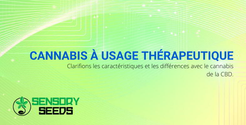 Cannabis à usage thérapeutique VS cannabis CBD