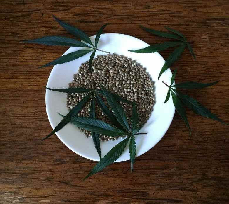 Acheter des graines de cannabis en ligne est plus sûr