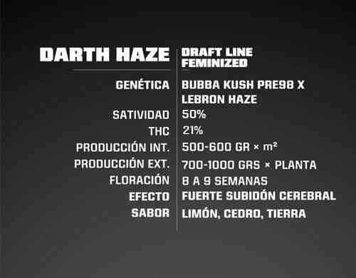 Description de graines de cannabis fèminisée Darth Haze