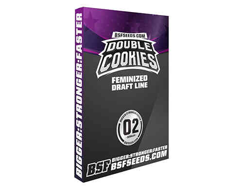 Double Cookies graine autofloraison de cannabis du weed seed shop