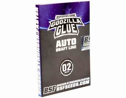 Godzilla Glue graine autofloraison su weed seed shop