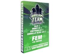 Kit Dream team Feminized Mix du weed seed shop