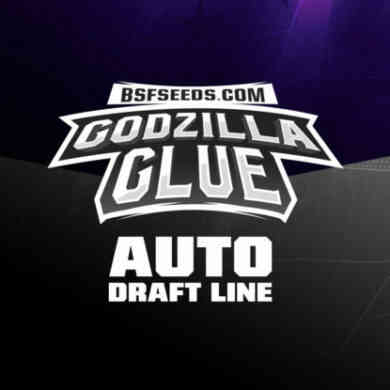 Label du Godzilla Glue du graine autofloraison