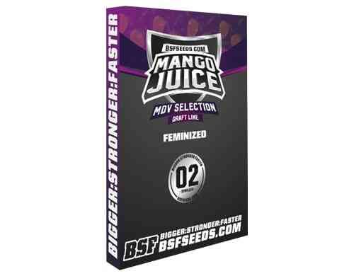 Mango Juice Graines de cannabis féminisée du weed seed shop