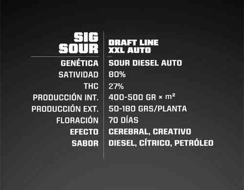 Propriete Sig Sour XXL Autofloraison
