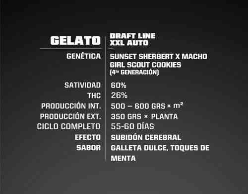 Proprieté du Gelato XXL du graine autofloraison