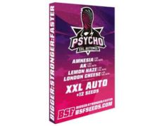 Psycho XXL Automix kit des meilleurs graines de cannabis
