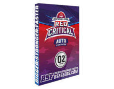 Red Critical graine autofloraison haute de gamme