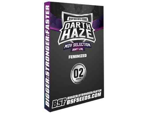 Top qualite Darth Haze des graines de cannabis