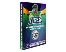 Weed seed shop Green Tiger graines de la meilleure marihuana 