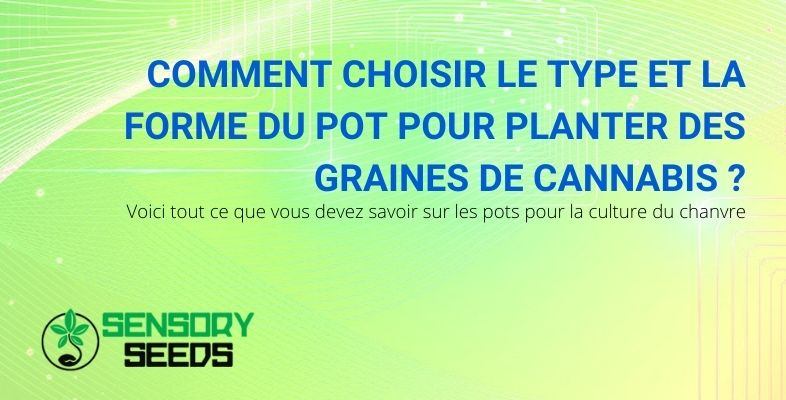 Comment choisir le type de pot pour planter des graines de cannabis ?