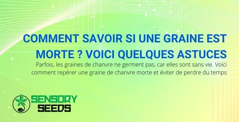 Comment savoir si de vieilles graines sont encore bonnes ?