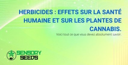 Les effets nocifs des herbicides sur la santé des humains et des plants de cannabis