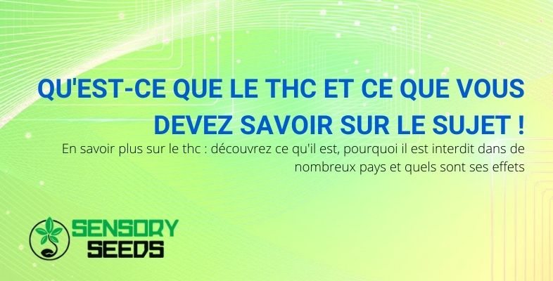 Tout ce que vous devez savoir sur le THC.