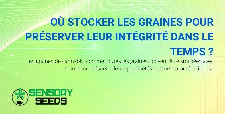 Comment les graines de cannabis doivent être conservées.