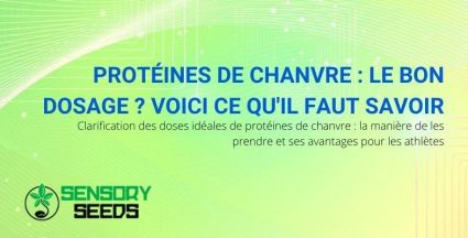 Clarifications sur les dosages et modes d'utilisation des protéines de chanvre.